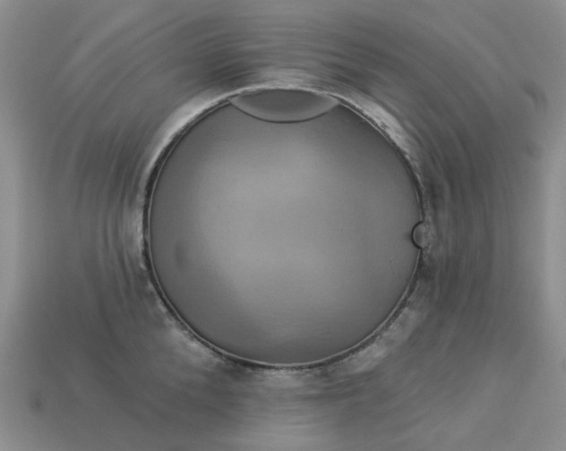 X0000113050904200909101936