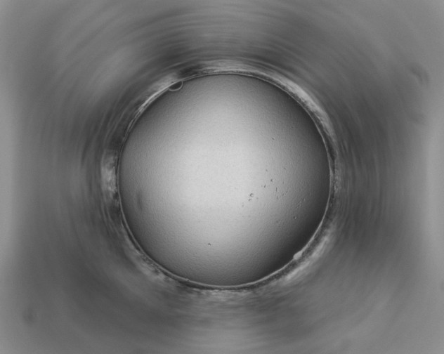 X0000113050905200909101936