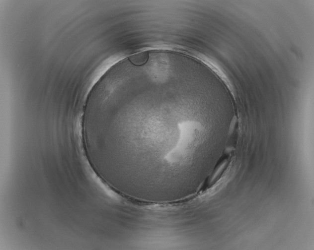 X0000113050906200909101936