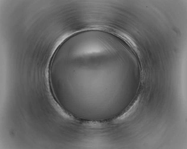 X0000113050907200909101936