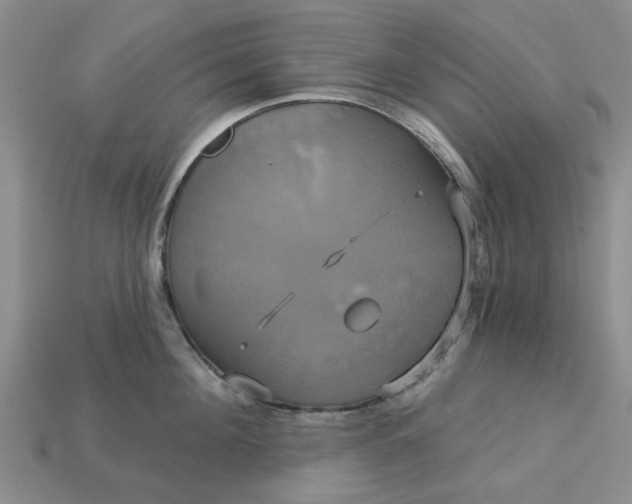 X0000113050908200909101936