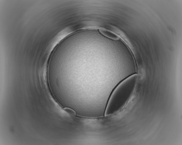 X0000113050909200909101936