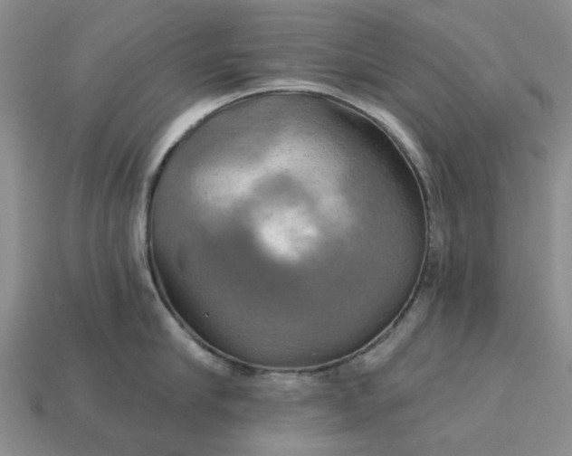 X0000113050910200909101936