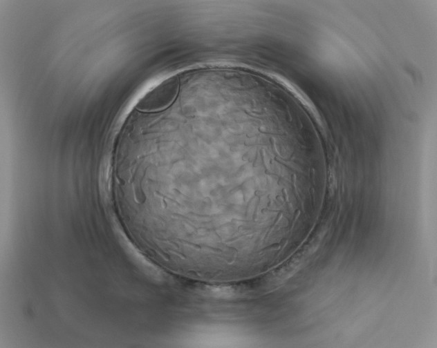 X0000113050911200909101936