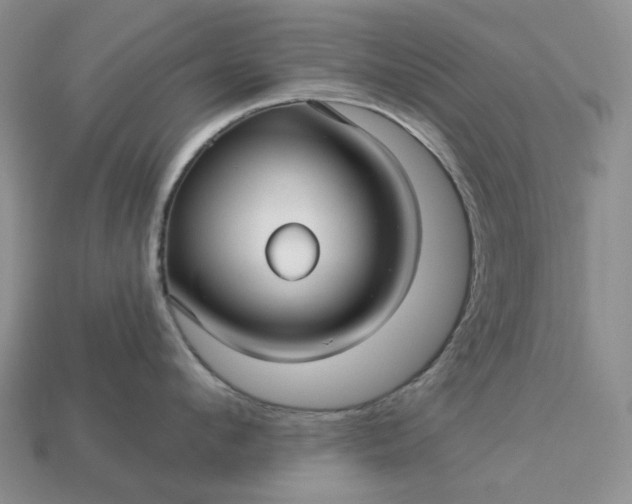 X0000113050912200909101936