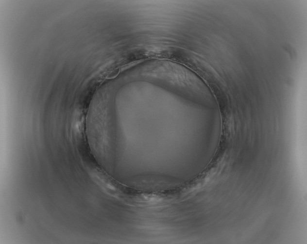 X0000113050914200909101936