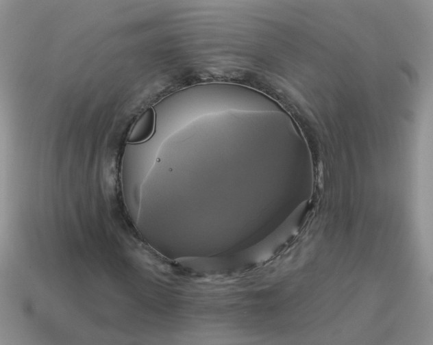 X0000113050915200909101936