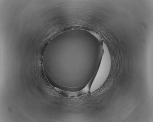 X0000113050916200909101936