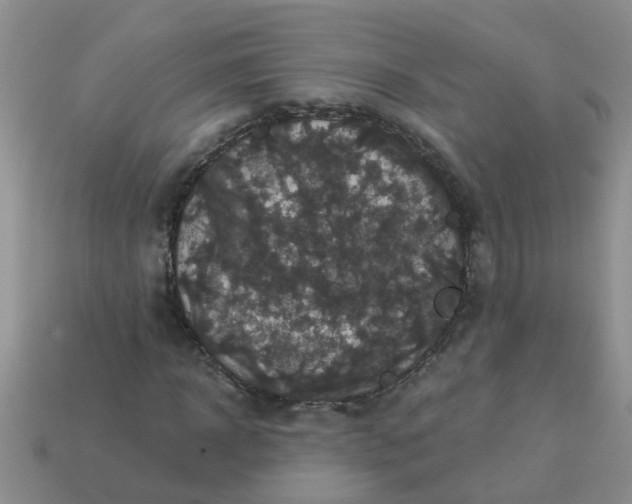 X0000113050918200909101936