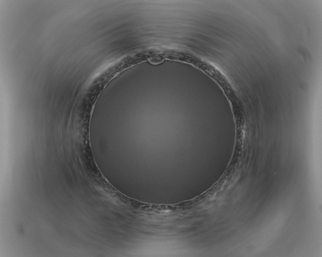 X0000113050919200909101936