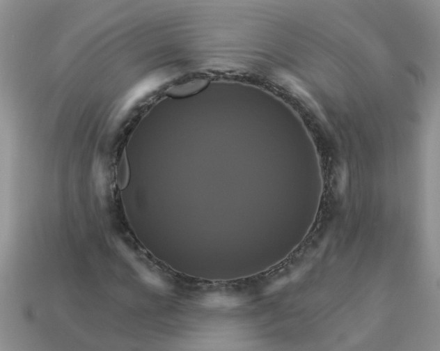 X0000113050920200909101936