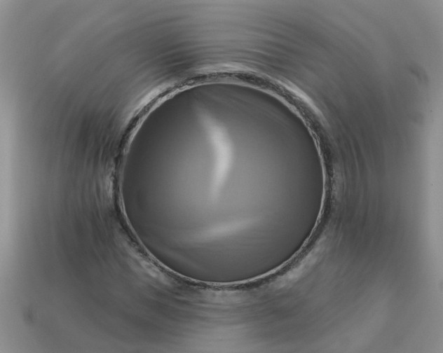 X0000113050921200909101936