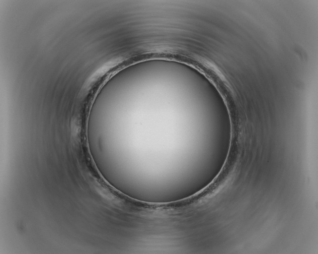 X0000113050922200909101936