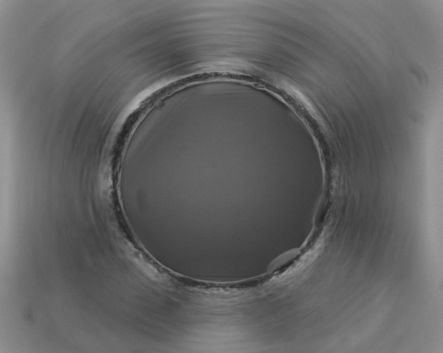 X0000113050923200909101936