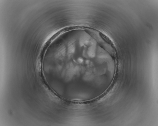 X0000113050925200909101936