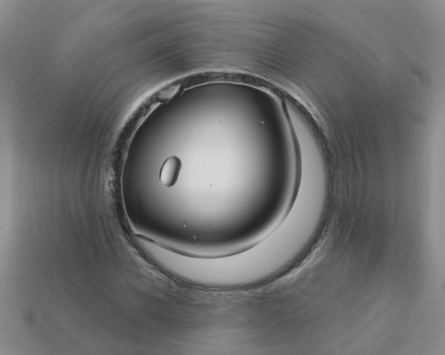 X0000113050926200909101936