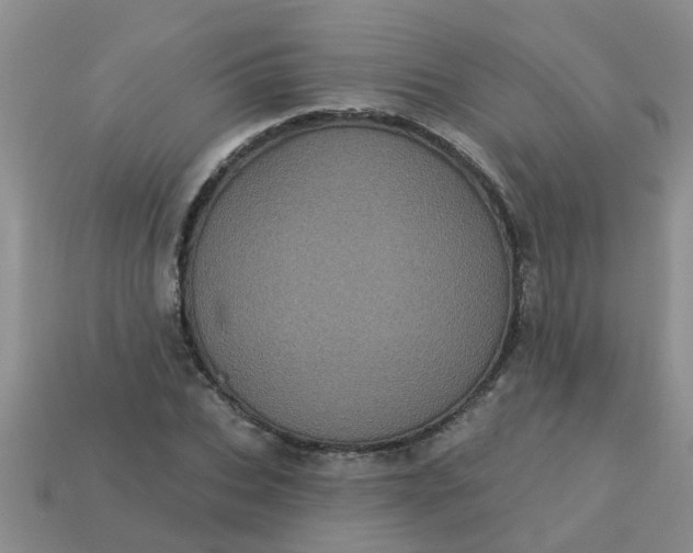 X0000113050927200909101936