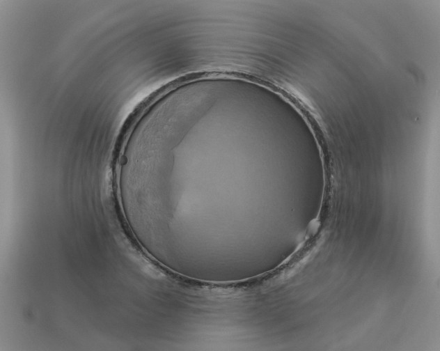 X0000113050928200909101936