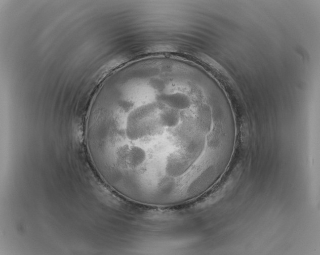 X0000113050929200909101936