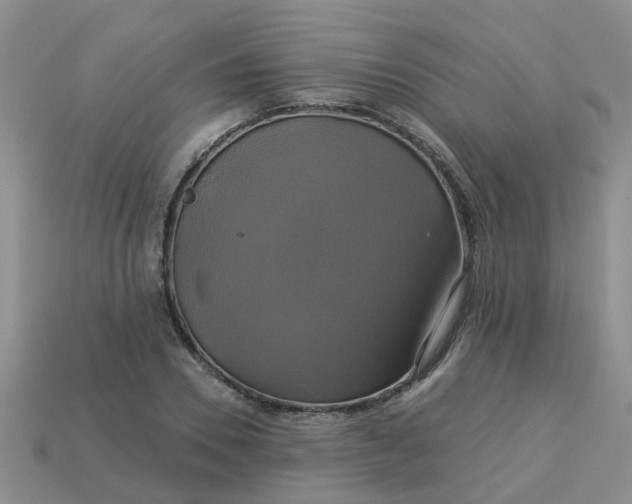 X0000113050930200909101936