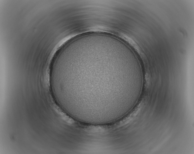 X0000113050931200909101936