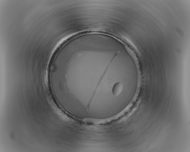 X0000113050932200909101936