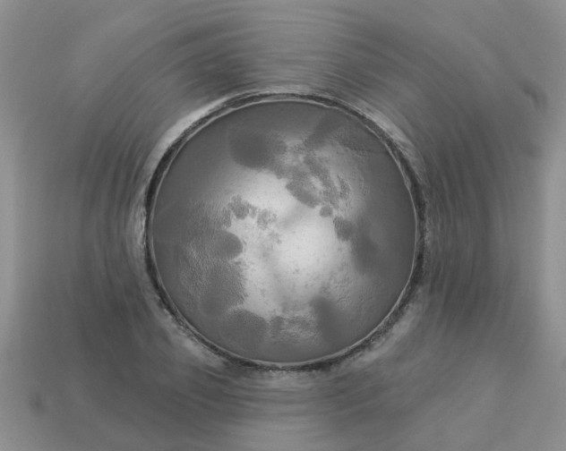 X0000113050933200909101936