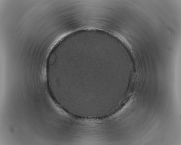 X0000113050934200909101936