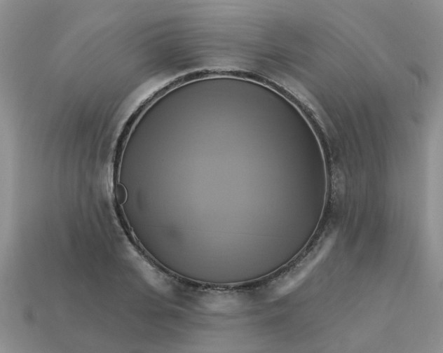 X0000113050935200909101936