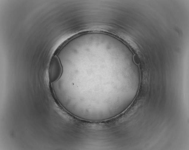 X0000113050936200909101936