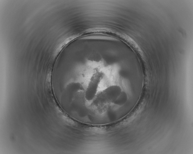 X0000113050937200909101936