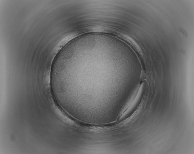 X0000113050938200909101936