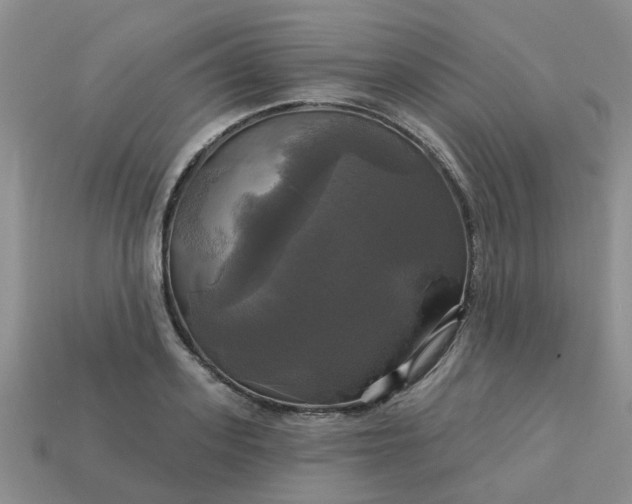 X0000113050939200909101936