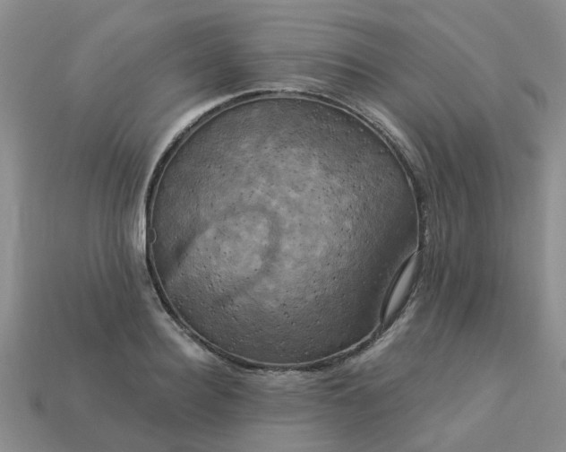 X0000113050940200909101936