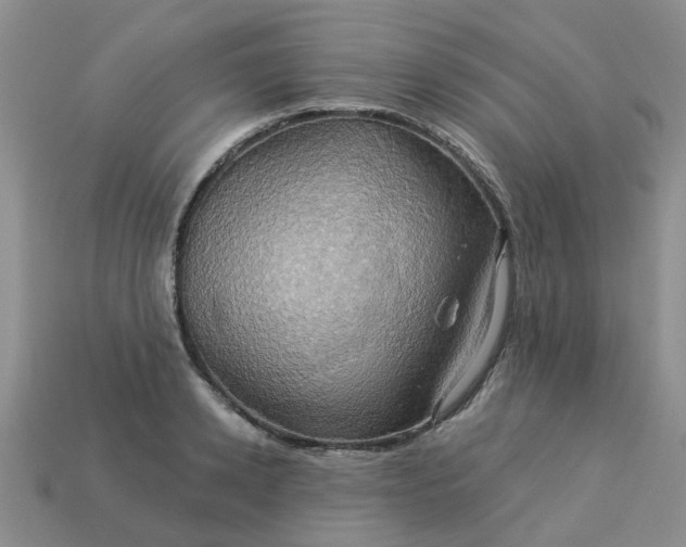 X0000113050942200909101936