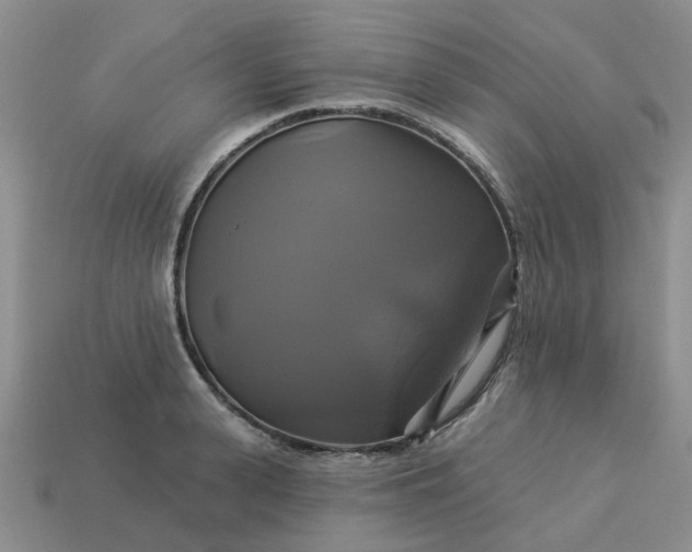 X0000113050943200909101936