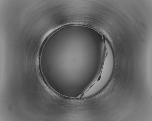 X0000113050944200909101936