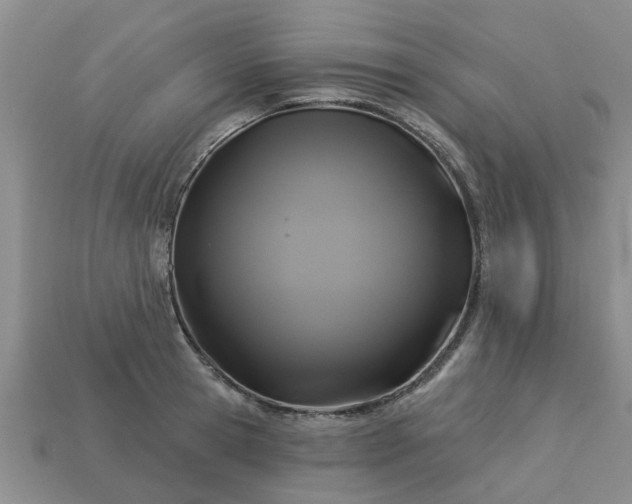 X0000113050945200909101936