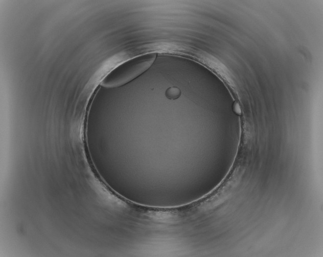 X0000113050946200909101936