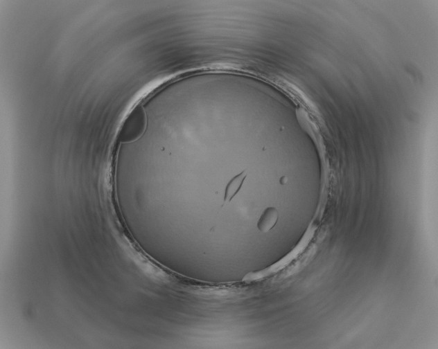 X0000113050948200909101936