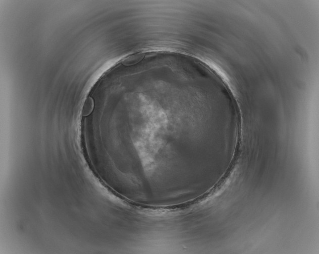 X0000113050949200909101936