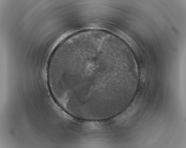 X0000113050950200909101936