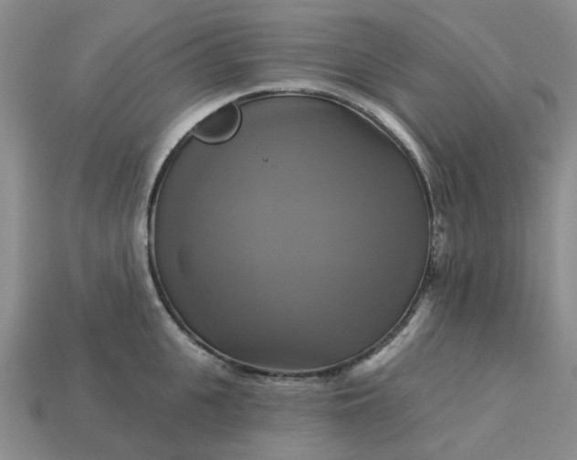 X0000113050951200909101936