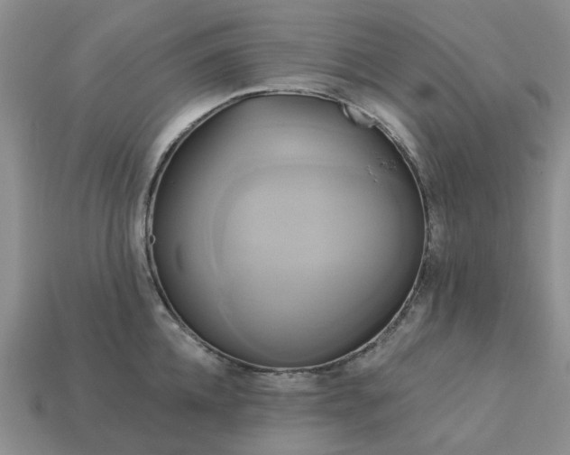 X0000113050952200909101936