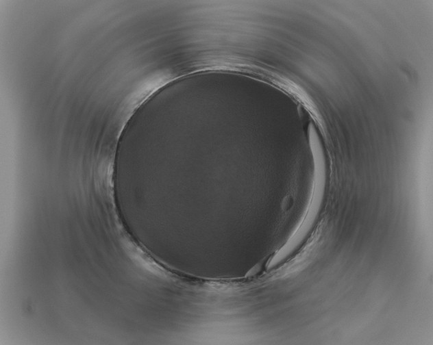 X0000113050954200909101936