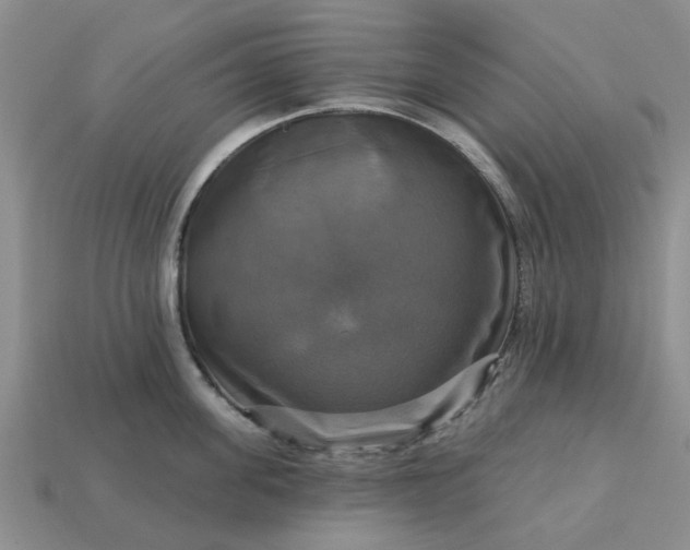 X0000113050955200909101936