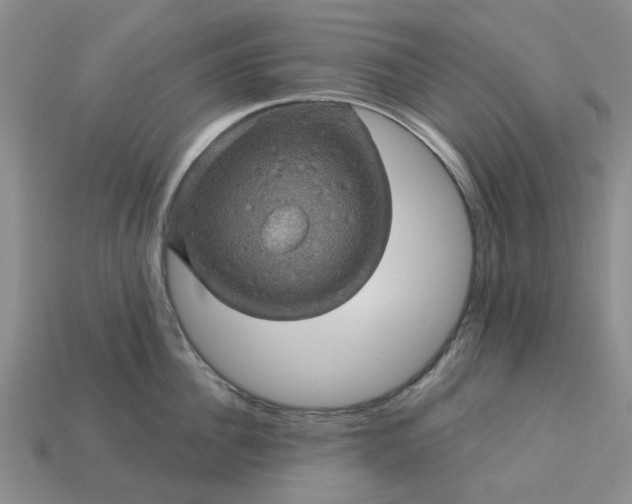 X0000113050956200909101936