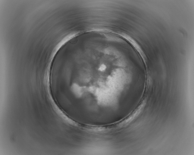 X0000113050957200909101936