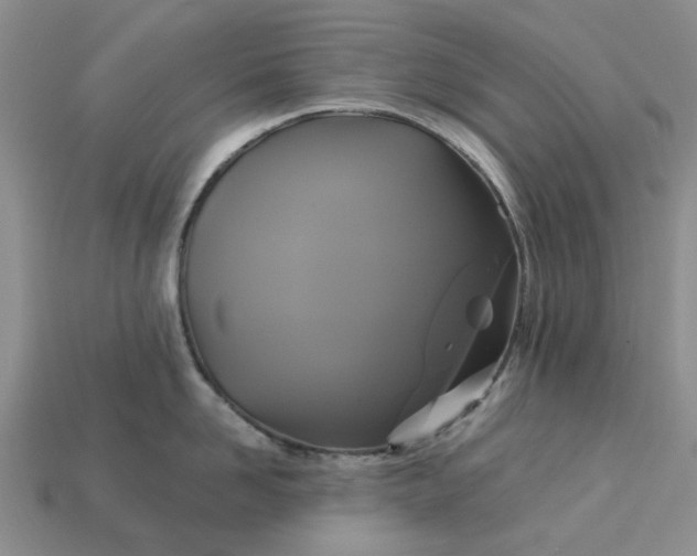 X0000113050958200909101936