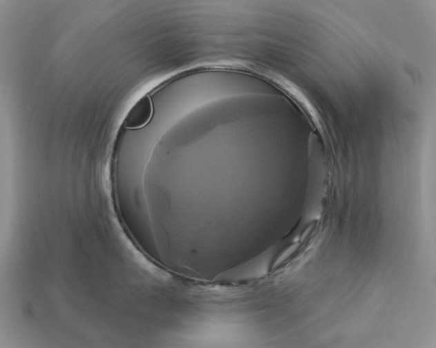 X0000113050959200909101936